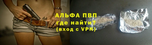 ГАЛЛЮЦИНОГЕННЫЕ ГРИБЫ Белокуриха