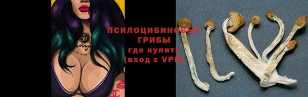 ГАЛЛЮЦИНОГЕННЫЕ ГРИБЫ Белокуриха