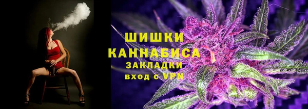 шишки Богданович