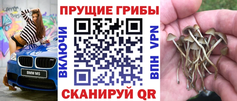Галлюциногенные грибы MAGIC MUSHROOMS  Большой Камень 
